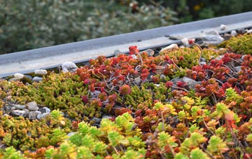 the cost of Bradway green roof installation